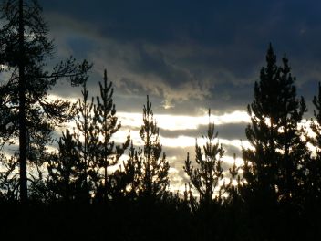The sky at the conclusion of an evening bow hunt.