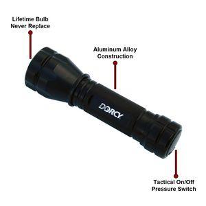 Flashlight Diagram